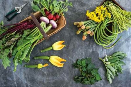 You Can Eat the Whole Plant Image